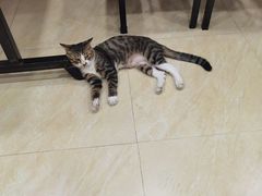 -玉椰林甜品店(创始店)