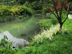 -天河潭旅游度假区