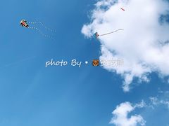 -丁香湖公园
