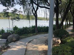 -昆山城市生态森林公园