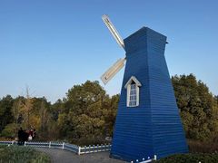 -铁山坪森林公园