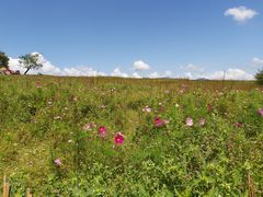 -硗碛藏寨·神木垒景区