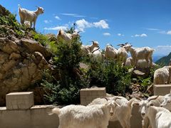 -白草畔自然风景区