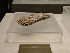 -嘉定博物馆