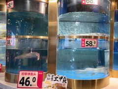 -蜀滋香鲜鱼美蛙火锅(339店)