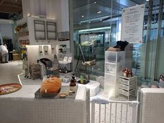 -柴务处·柴犬主题狗咖