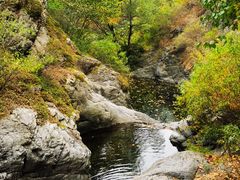 -云岫谷游猎自然风景区