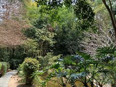 -深圳国际园林花卉博览园