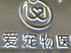 -关爱宠物医院·猫科中心·消化科(滨湖万达分院)