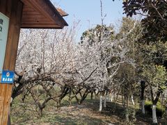 -艾山风景名胜区