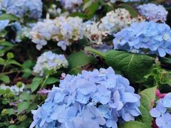 -人民公园(罗湖区)