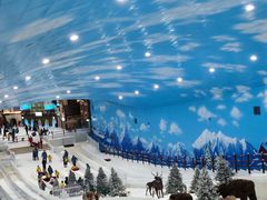 -世界之窗阿尔卑斯冰雪世界