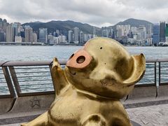 -星光大道