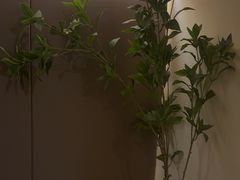 -小仙女采耳·按摩·SPA(深圳旗舰店)