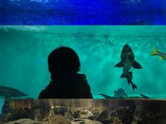 -太平洋海底世界