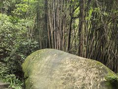 -缙云山景区