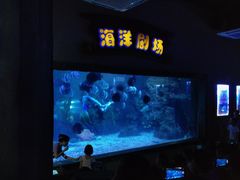 -南昌海洋公园