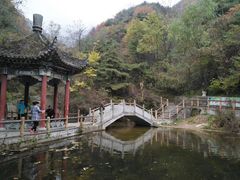 -王顺山国家森林公园