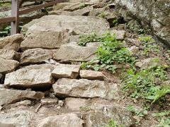 -王顺山国家森林公园