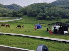 -大水川景区