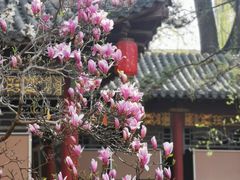 -碑林公园