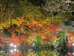 -醍醐寺