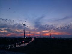 -上海长兴岛郊野公园