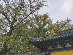 -兴福禅寺