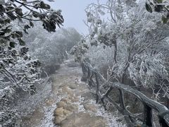 -梧桐山风景名胜区