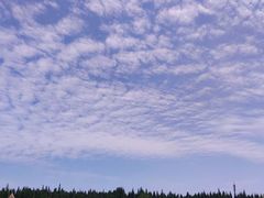 -东平国家森林公园