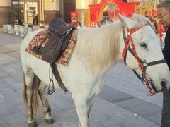 -元气寿司(环球港店)