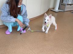 -芭比堂宠物医院·全科爱猫医院·仁德分院