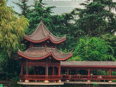 -橘子洲景区