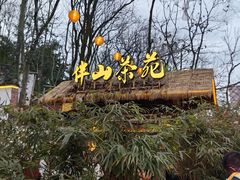 -伴山茶苑·围炉煮茶