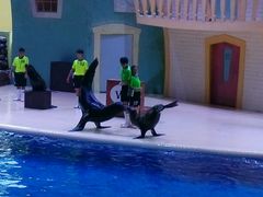 -广东省拱北口岸中国旅行社(华宾营业部)