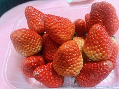 -山城外·非遗酸菜鱼(蜀都万达店)