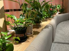 -云海肴云南菜(浦江欢乐颂店)