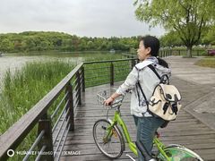 -昆山城市生态森林公园