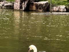 -合肥野生动物园