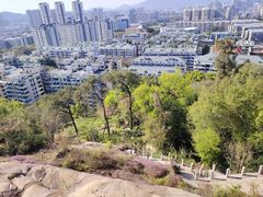 -乌山风景区