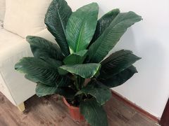 -觅时光手作·香薰·拼豆豆·陶艺DIY