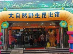 -上海大自然野生昆虫馆(东方明珠·爬宠昆虫探索中心)