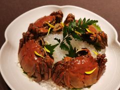 枸杞菊花熟醉蟹-蟹榭·莳鲜(虹桥高岛屋店)