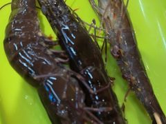-养牛邓·潮汕牛肉海鲜自助火锅(广州店)