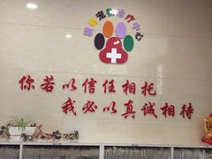 -骐奇宠物诊疗中心(南亭公路店)