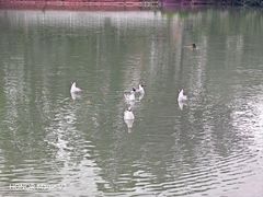 -宗角禄康公园