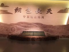 -宁夏博物馆