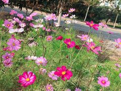 -陕西师范大学(雁塔校区)