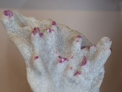 -房山世界地质公园博物馆