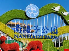-南海子公园